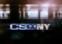 Digital Sons - Torchlight featured on CSI:NY